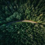 geranimo-qzgN45hseN0-unsplash
